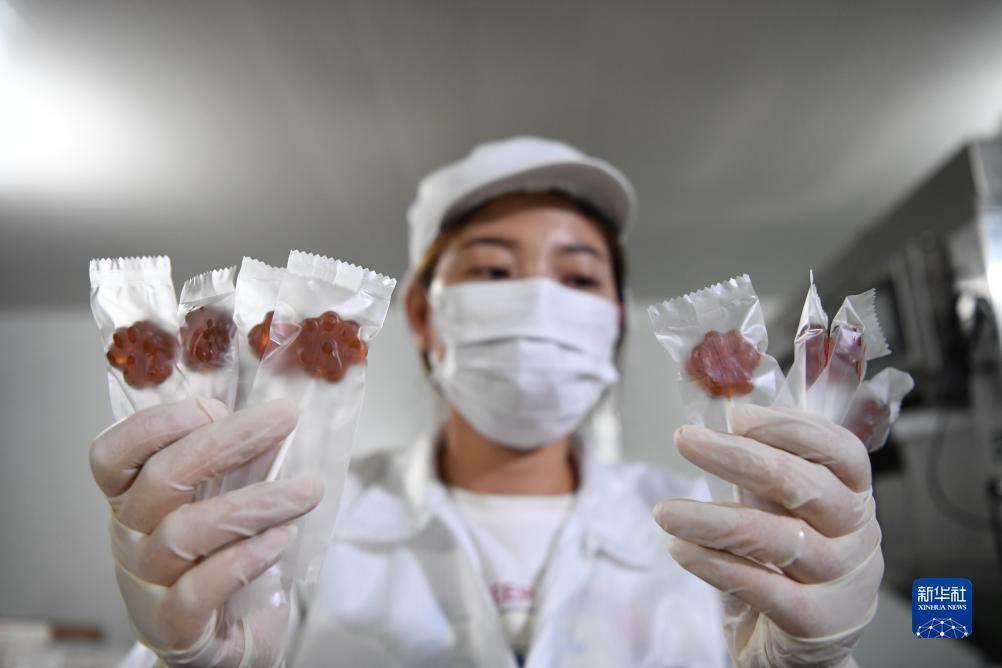 巴黎人免费登录